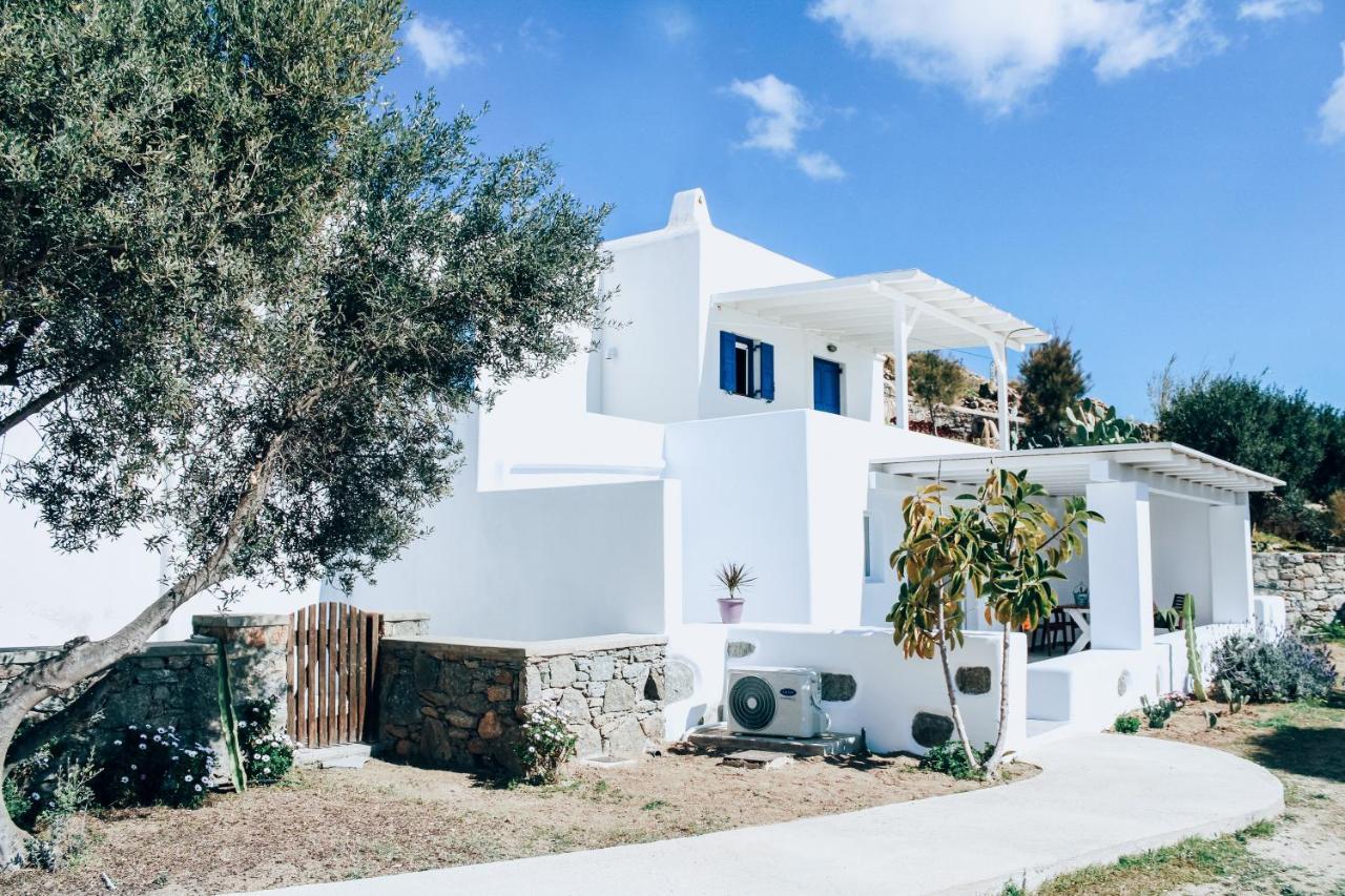 奥诺斯The Elaia House Mykonos别墅 外观 照片