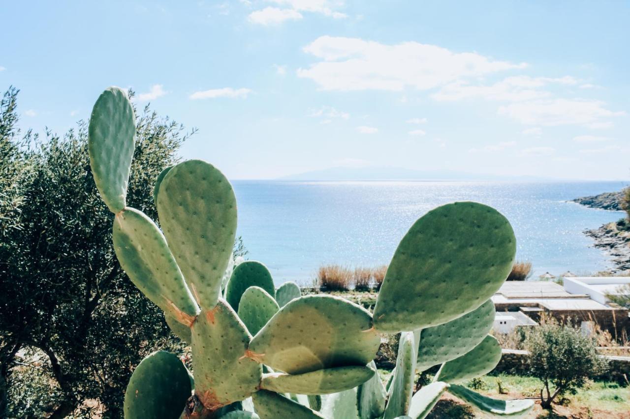 奥诺斯The Elaia House Mykonos别墅 外观 照片